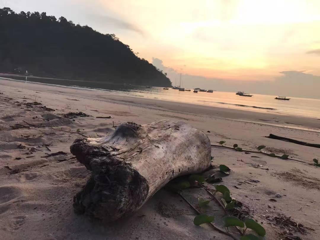Juara Bay Resort Tioman-sziget Kültér fotó